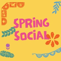 Spring Social